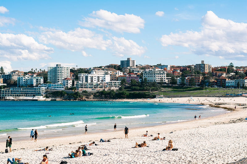 Famous beach photo of people sun bathing at Bondi Beach from Sydney plywood supplier Plyco