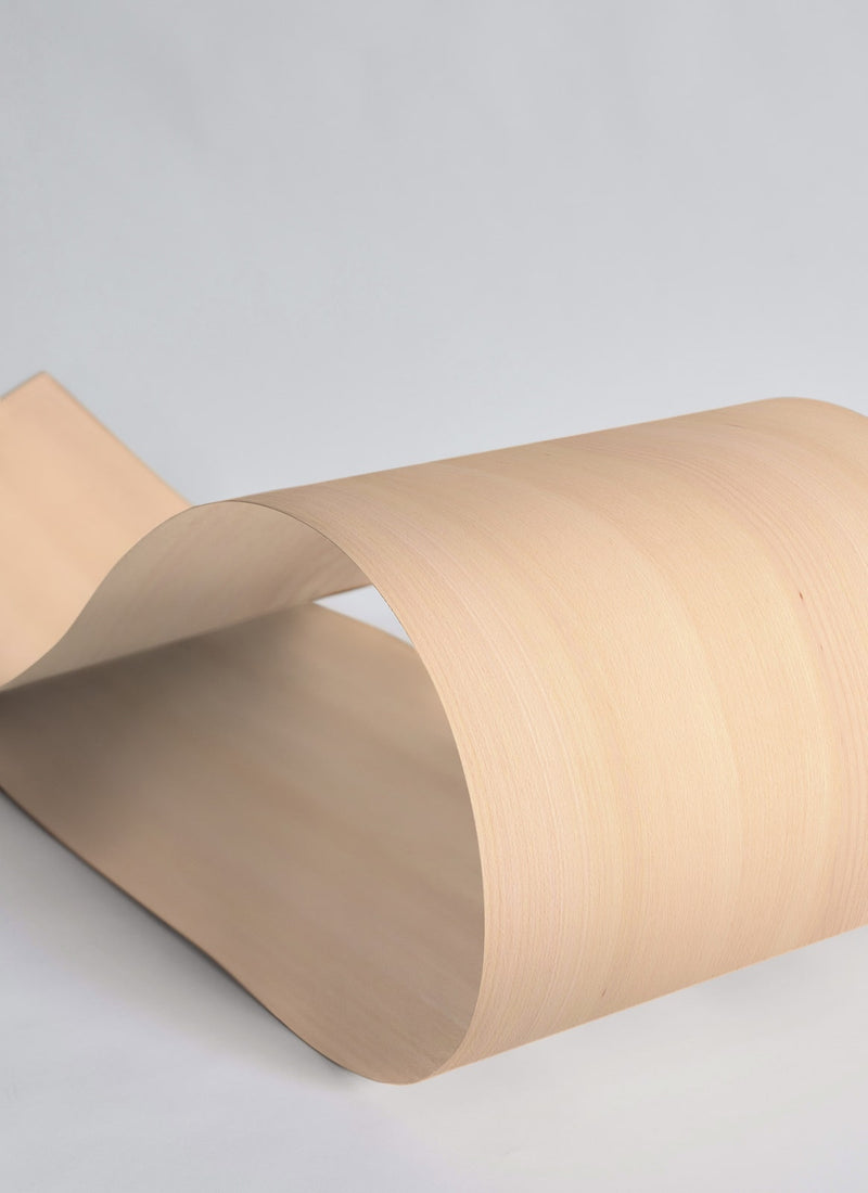 Melbourne plywood supplier, Plyco's 0.6mm European Beech Wide Leaf Veneer Sheets on a white background