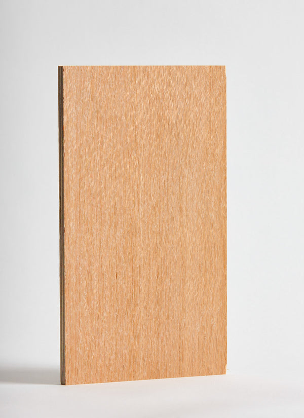 Plyco's Silky Oak on Birch Plywood Quadro panel, featured on a white background